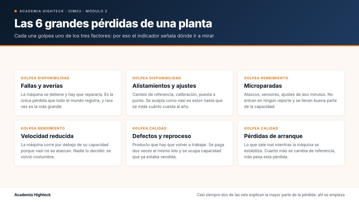 Las 6 grandes pérdidas de una planta